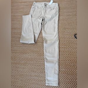 Stylish Light Gray Skinny Jeans